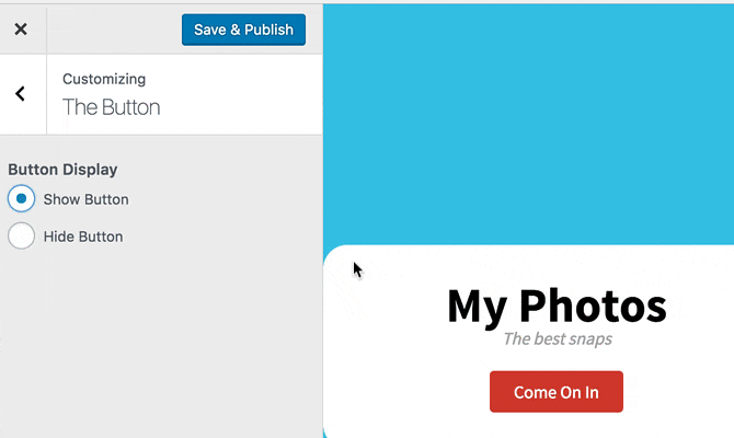 Showing And Hiding A Button With The Customizer