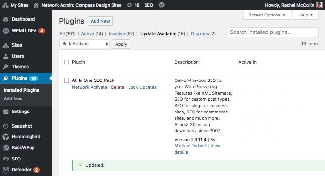 Plugins update screen in the Multisite network admin