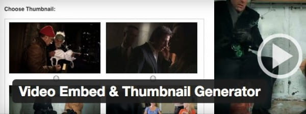 Video Embed & Thumbnail Generator Plugin image