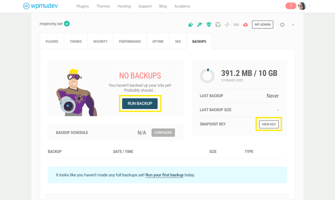 Backups Tab