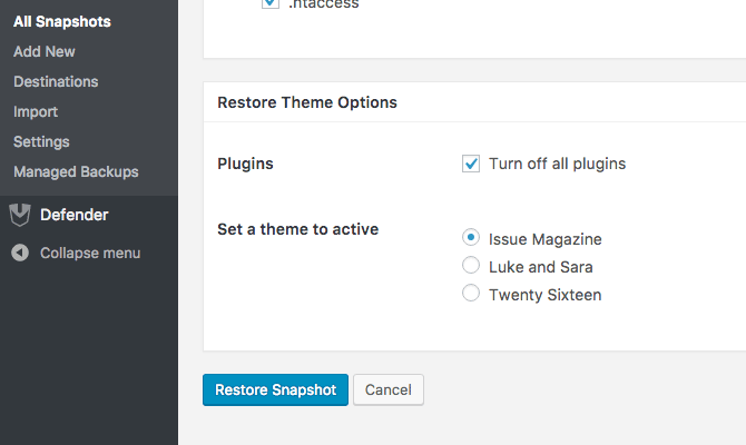 Restore Theme Options