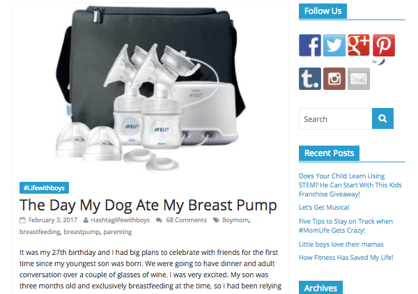 #lifewithboys website - the day the dog ate my breast pump