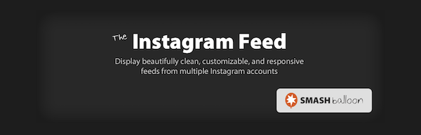 Instagram Feed Plugin by Smash Balloon (Free) image