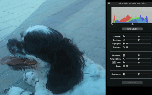 CSS filter settings