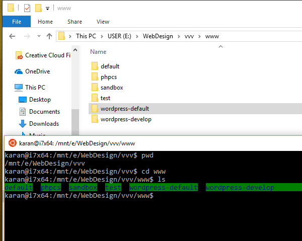 VVV folder structure