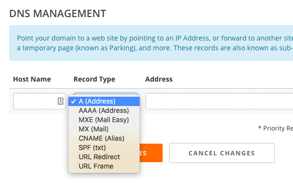 DNS editing showing options for DNS management