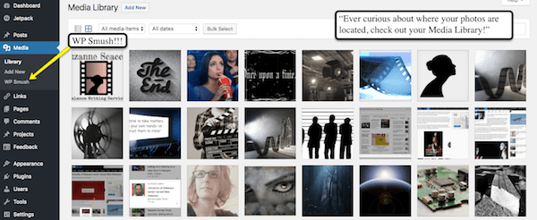 WordPress media library