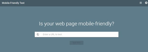 launching a website