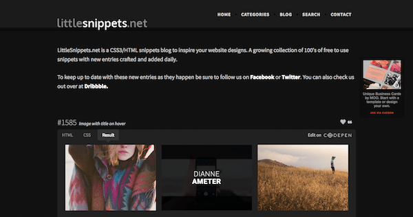 Little Snippets