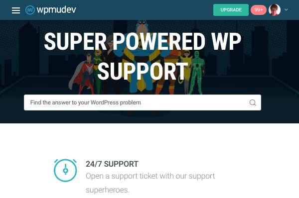 WPMU DEV's support page