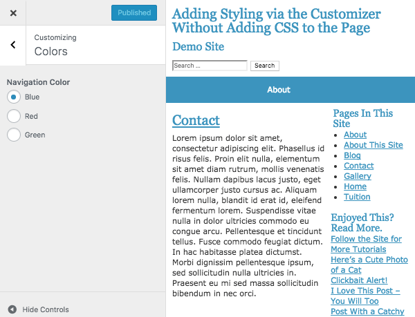 The WordPress customiser with a new section and control added