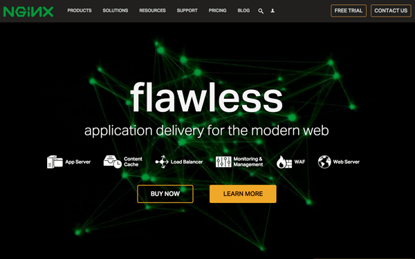 Nginx home screen