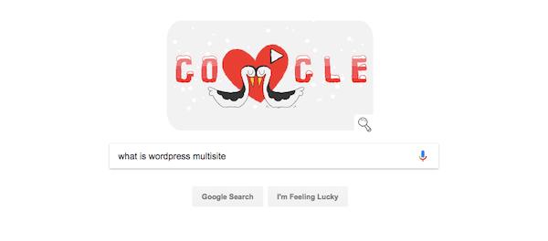 Google Search