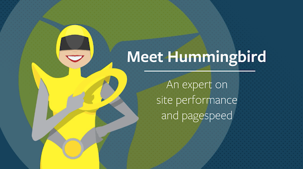 17 Questions - Hummingbird Plugin