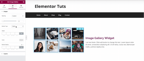 Gallery customization