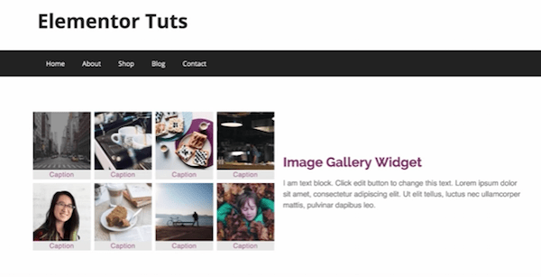 Gallery customization