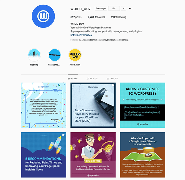 wpmu dev instagram profile.
