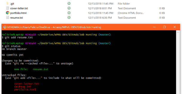 Screenshot of command line using Git Add