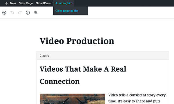 Hummingbird Gutenberg compatibility
