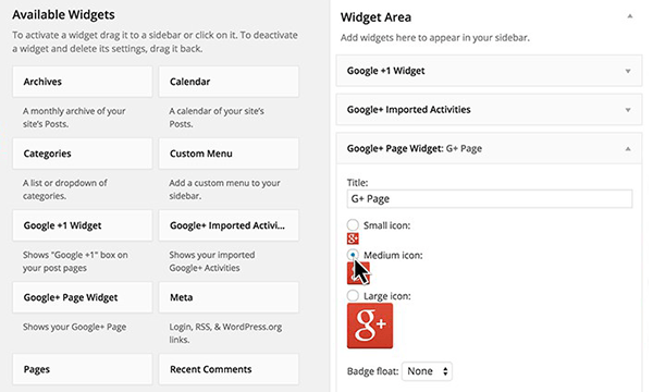 Google Plus Plugin widget integration