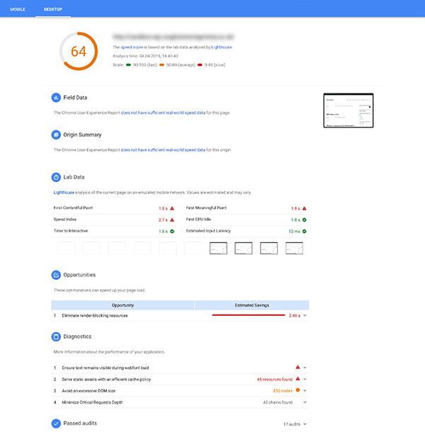 Screenshot of Google PageSpeed Insights