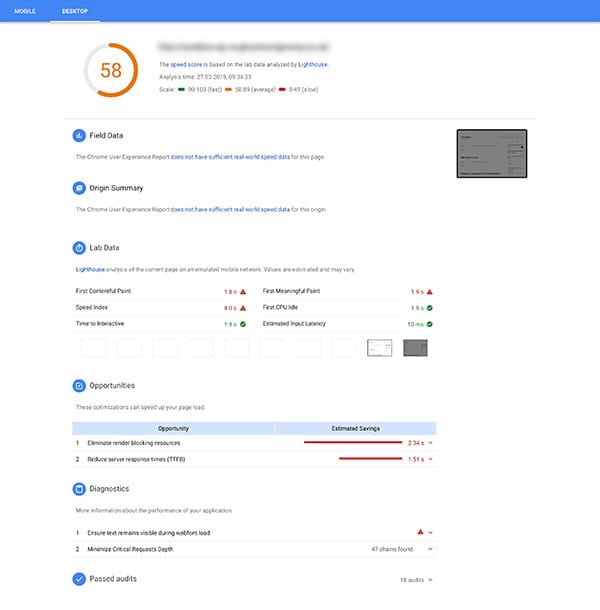 Screenshot of Google PageSpeed Insights