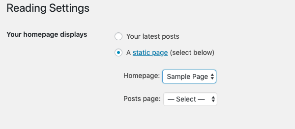 adjust the reading settings on WordPress