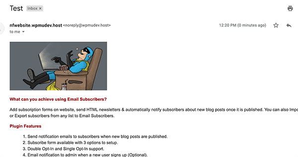 Icegram test email.