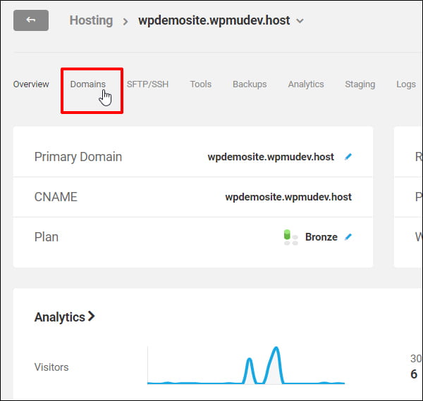 WPMU DEV Hosting Hub - Domains
