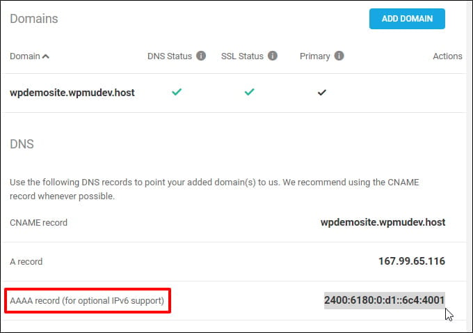 WPMU DEV Hosting Hub - IPv6