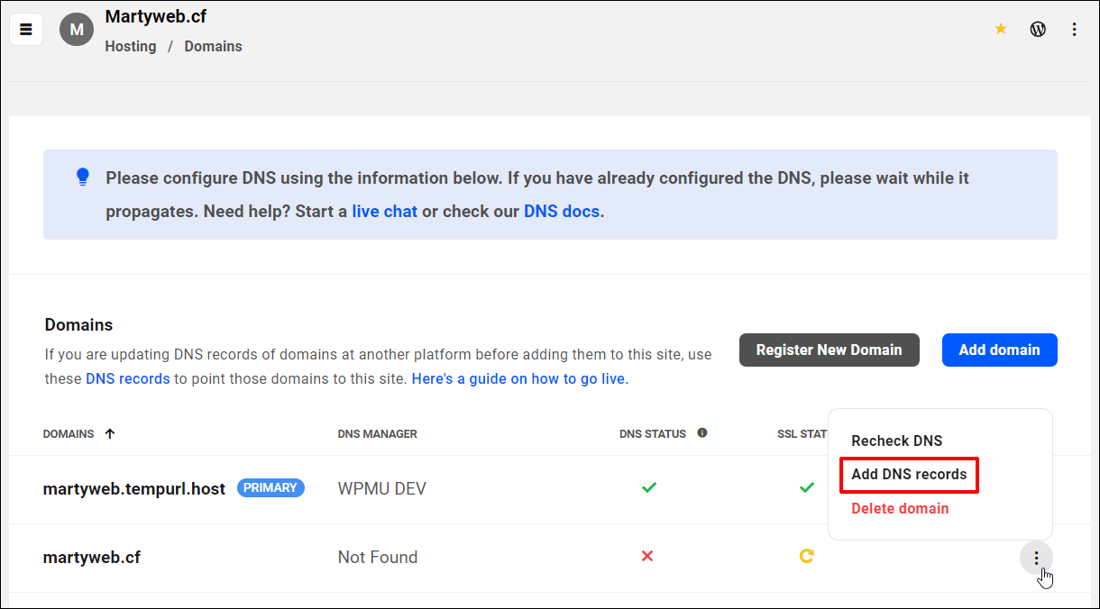 The Hub - Domains - Add DNS Records