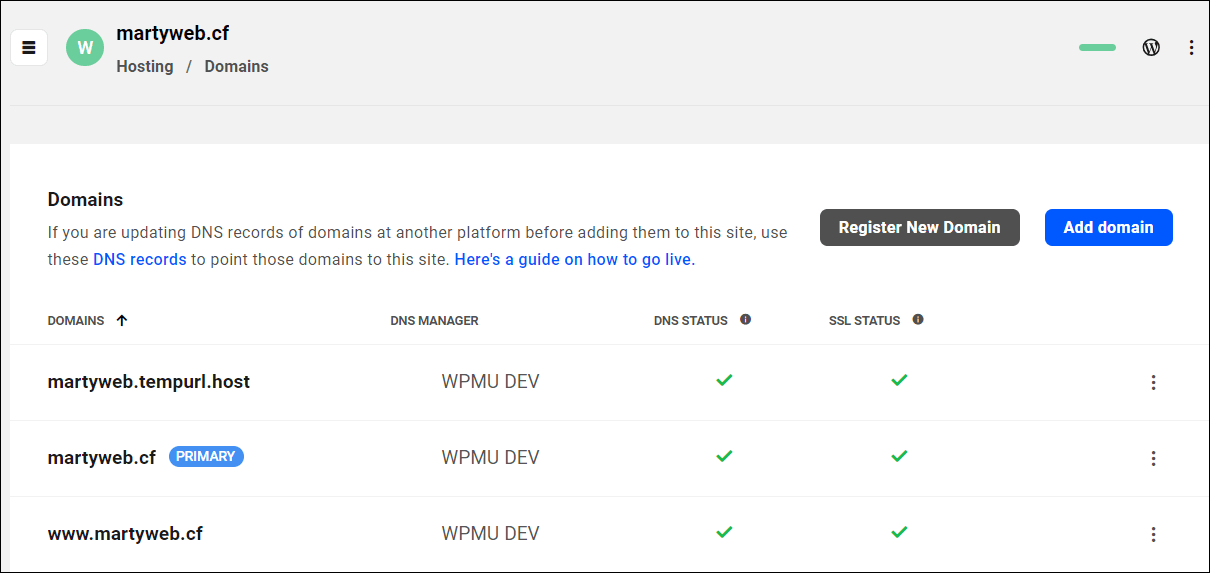 Hosting > Domains screen showing new domain added successfully.