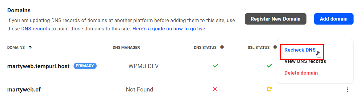 Domains - Recheck DNS