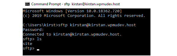 The command line with the command 'ls' typed in to display the current folder.