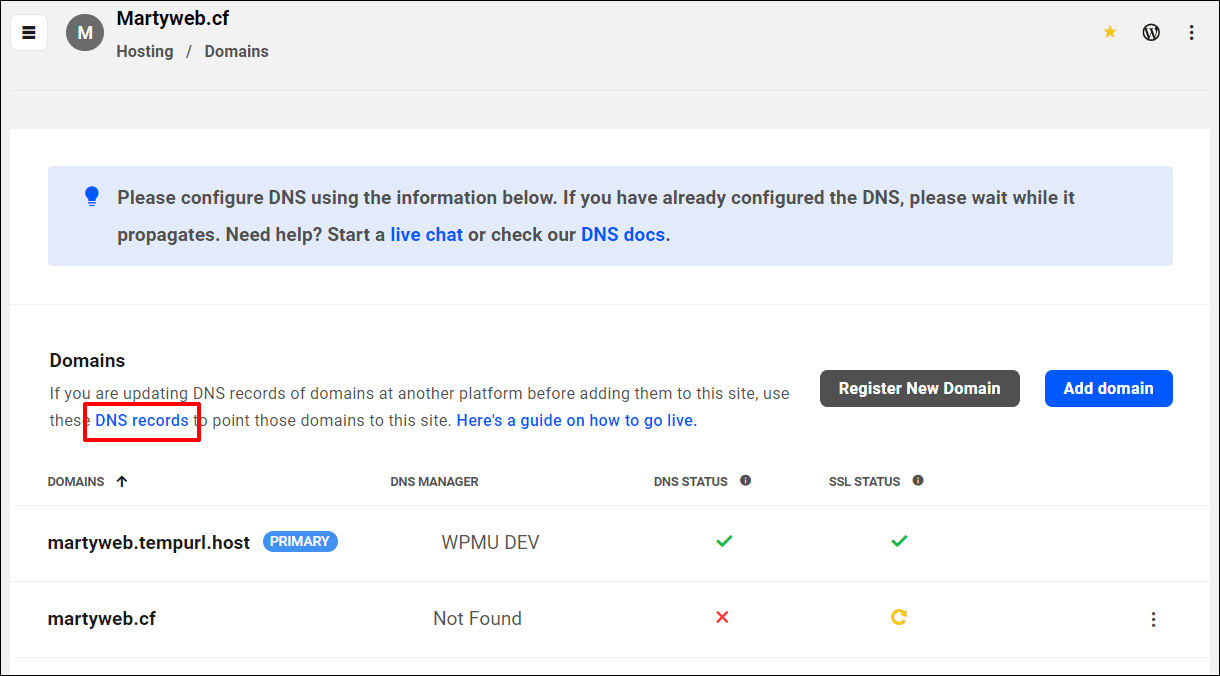 View DNS Records