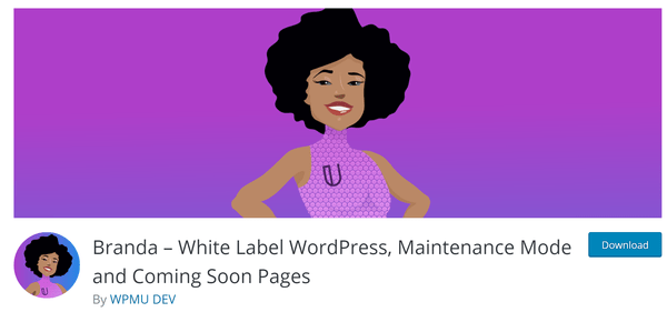 Screenshot of Branda from wordpress.org
