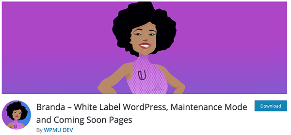 Ultimate Branding Plugin image