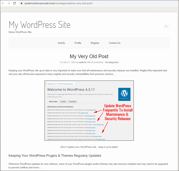 Demo WordPress site