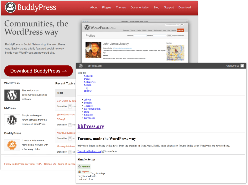 2013 BuddyPress and bbPress 