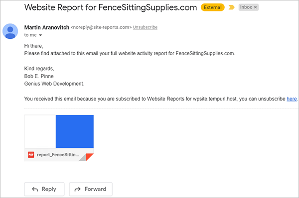 Website Report Email example.