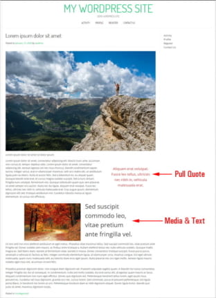 Nikkon Theme by Kaira