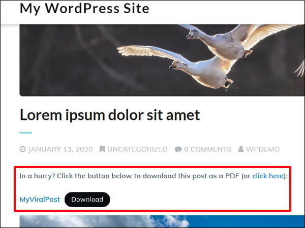 Screengrab of demo post with link to download a PDF file.