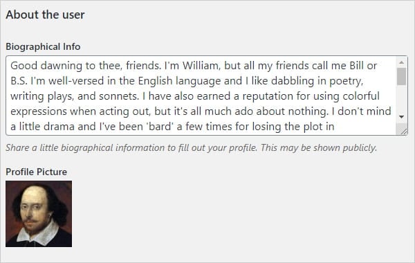 WordPress User Profile - Biographical info