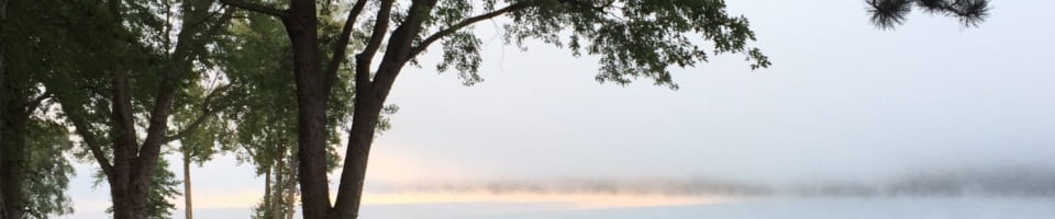 IMG 0037 960x200