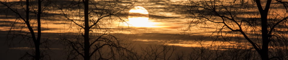 IMG 7967 960x200