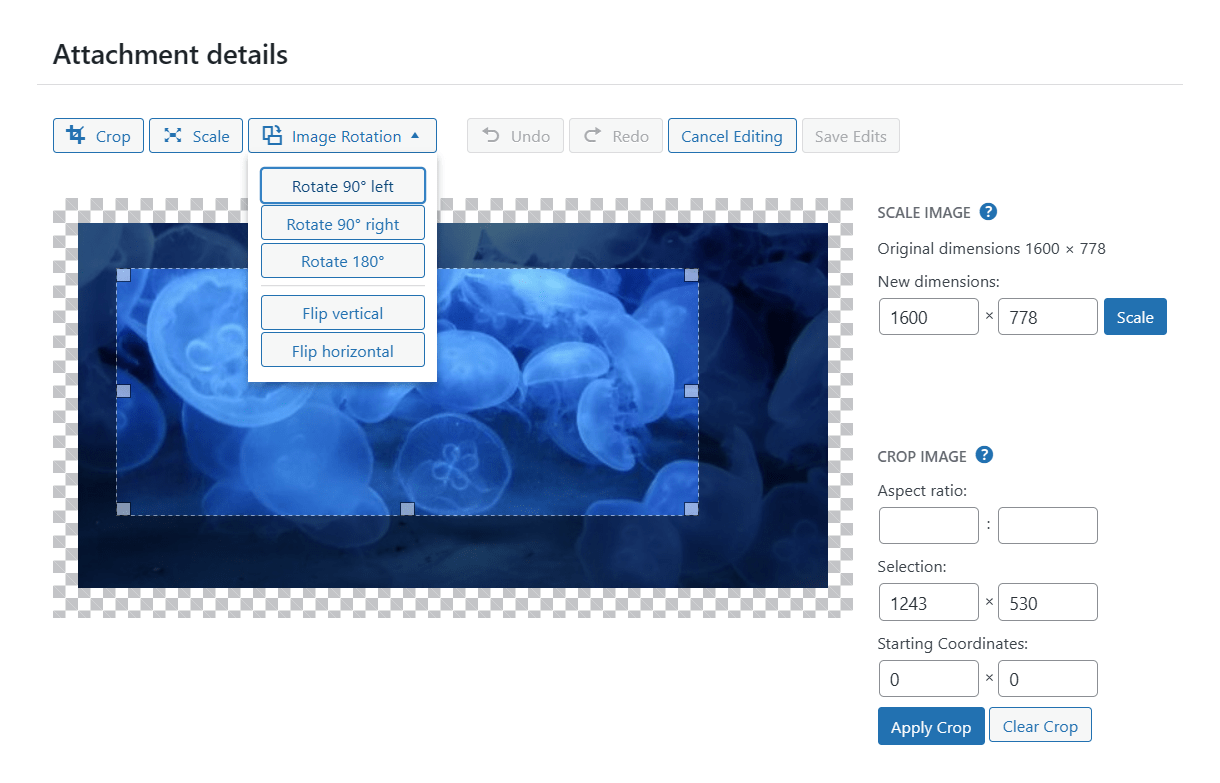 Edit an image in the WordPress media library