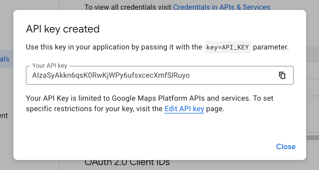 Copy the generated API key
