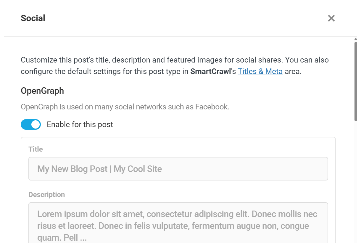 Social options in post editor