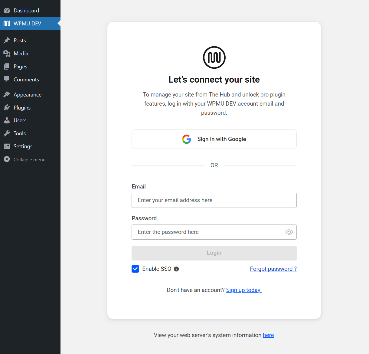 Log into the WPMU DEV Dashboard plugin