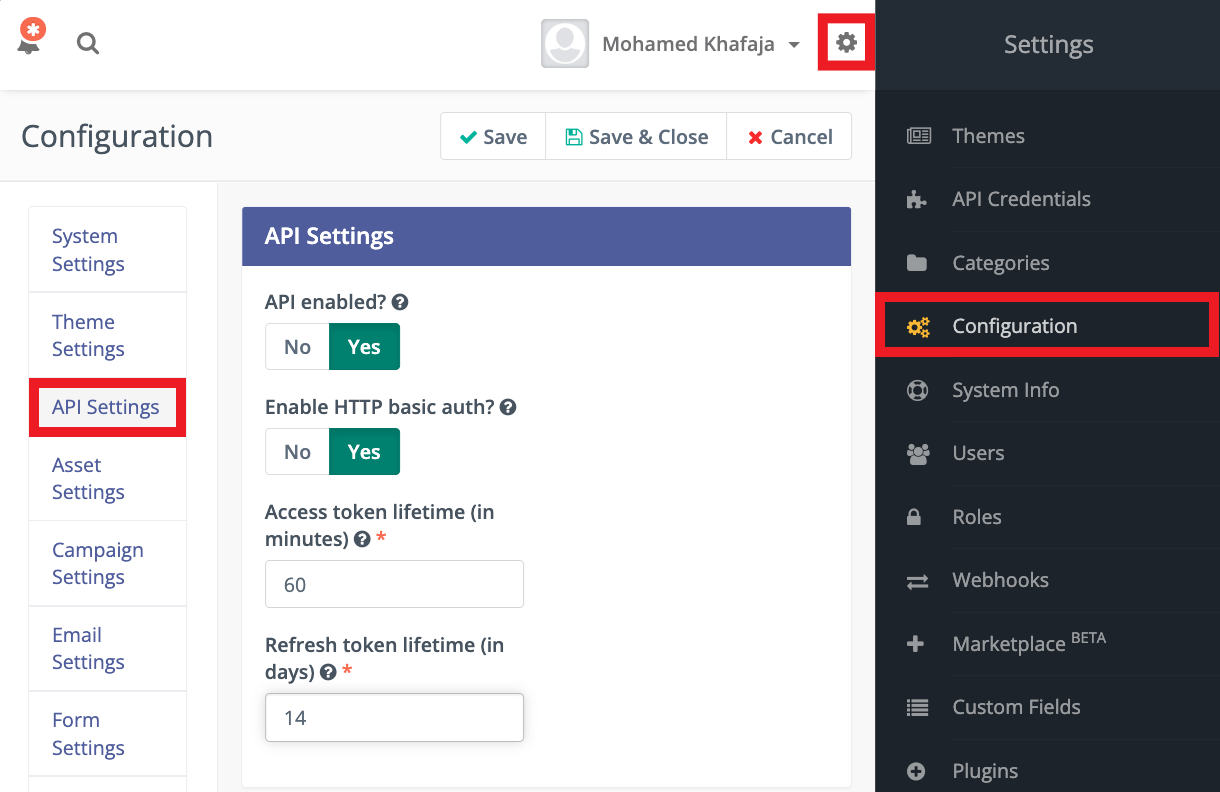 API and HTTP Basic Auth enabled in Mautic install